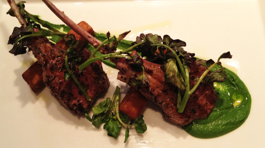 Morello Lamb Chop