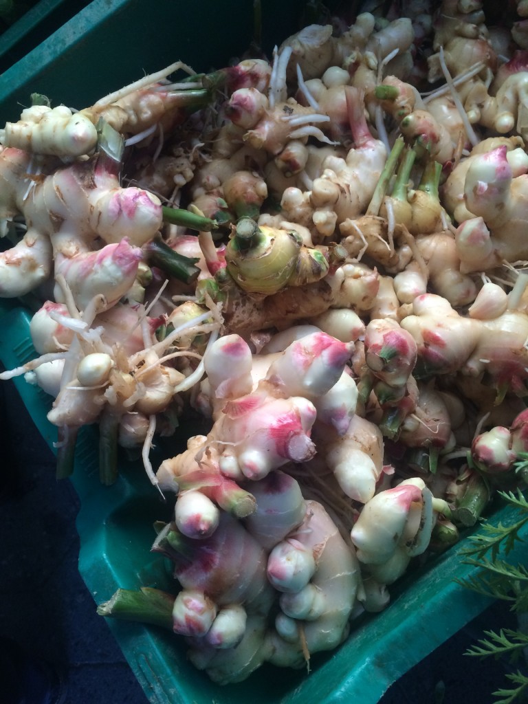 Organic ginger