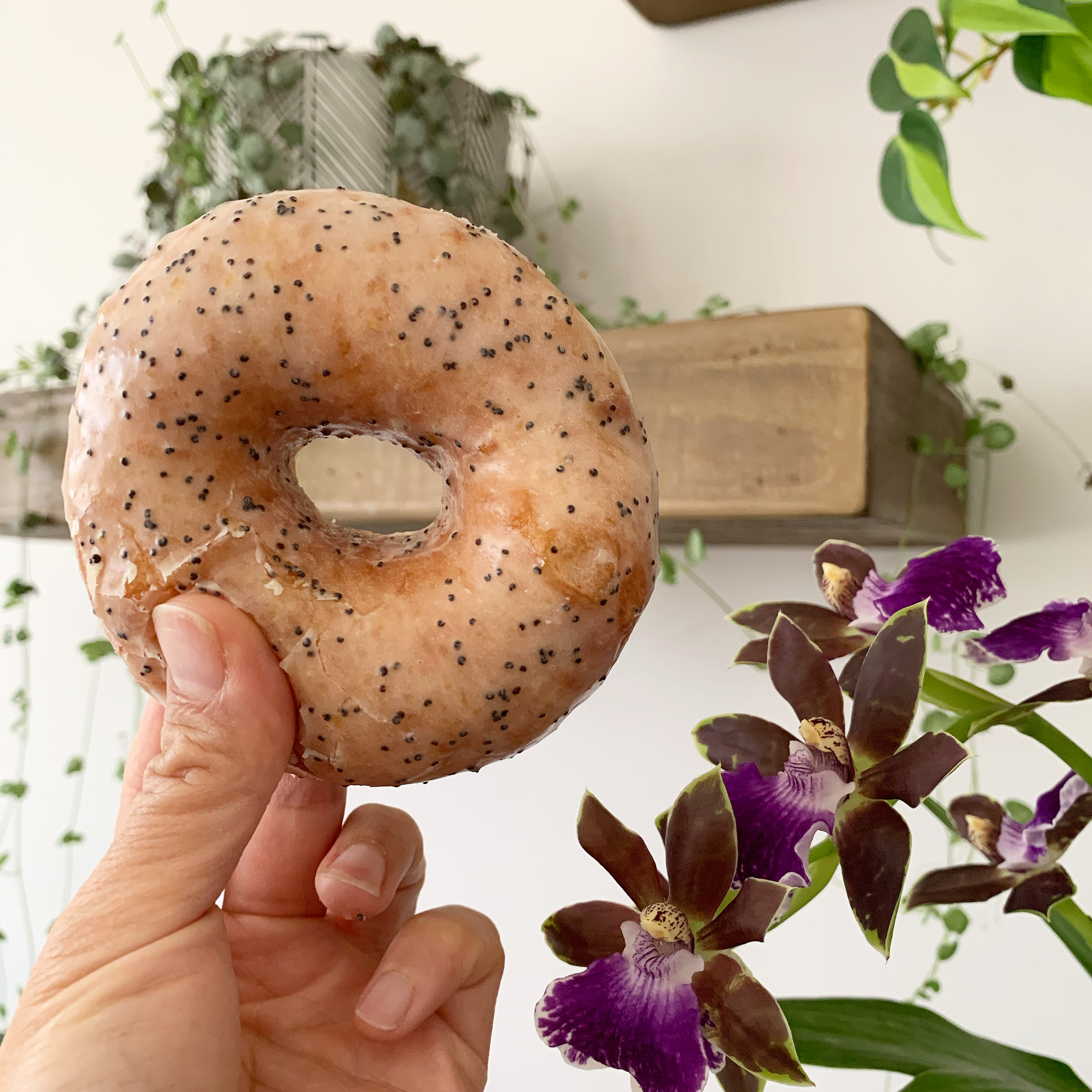 Lemon Poppy Glazed Doughnut